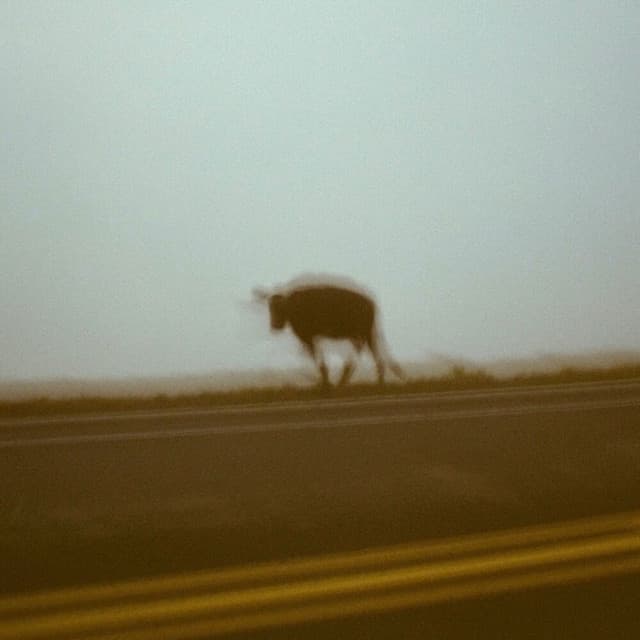 Beams — DERBY